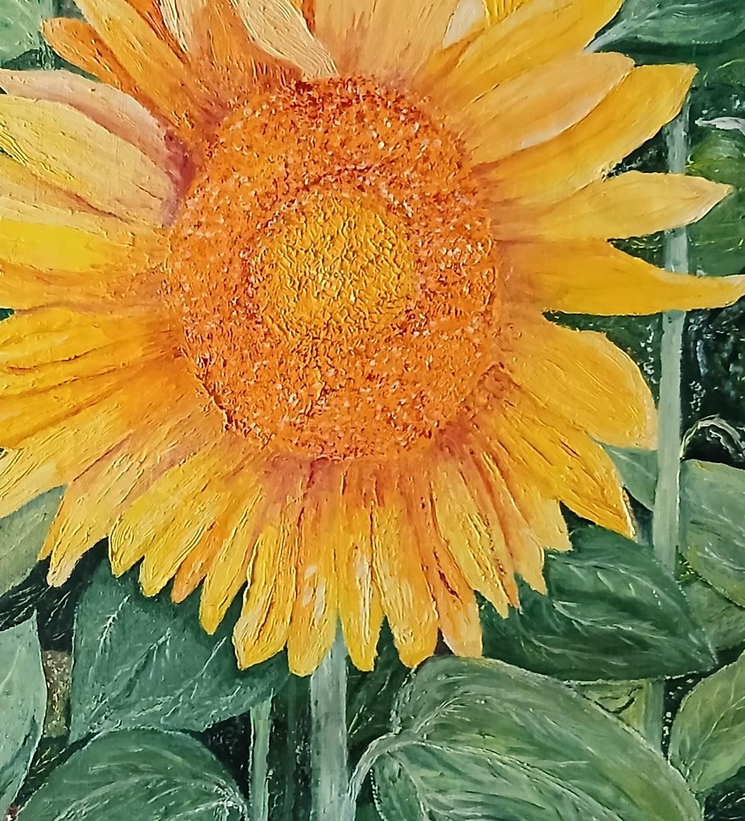 Majesté solaire