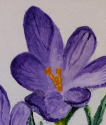 Dans le silence — Le crocus d'hiver