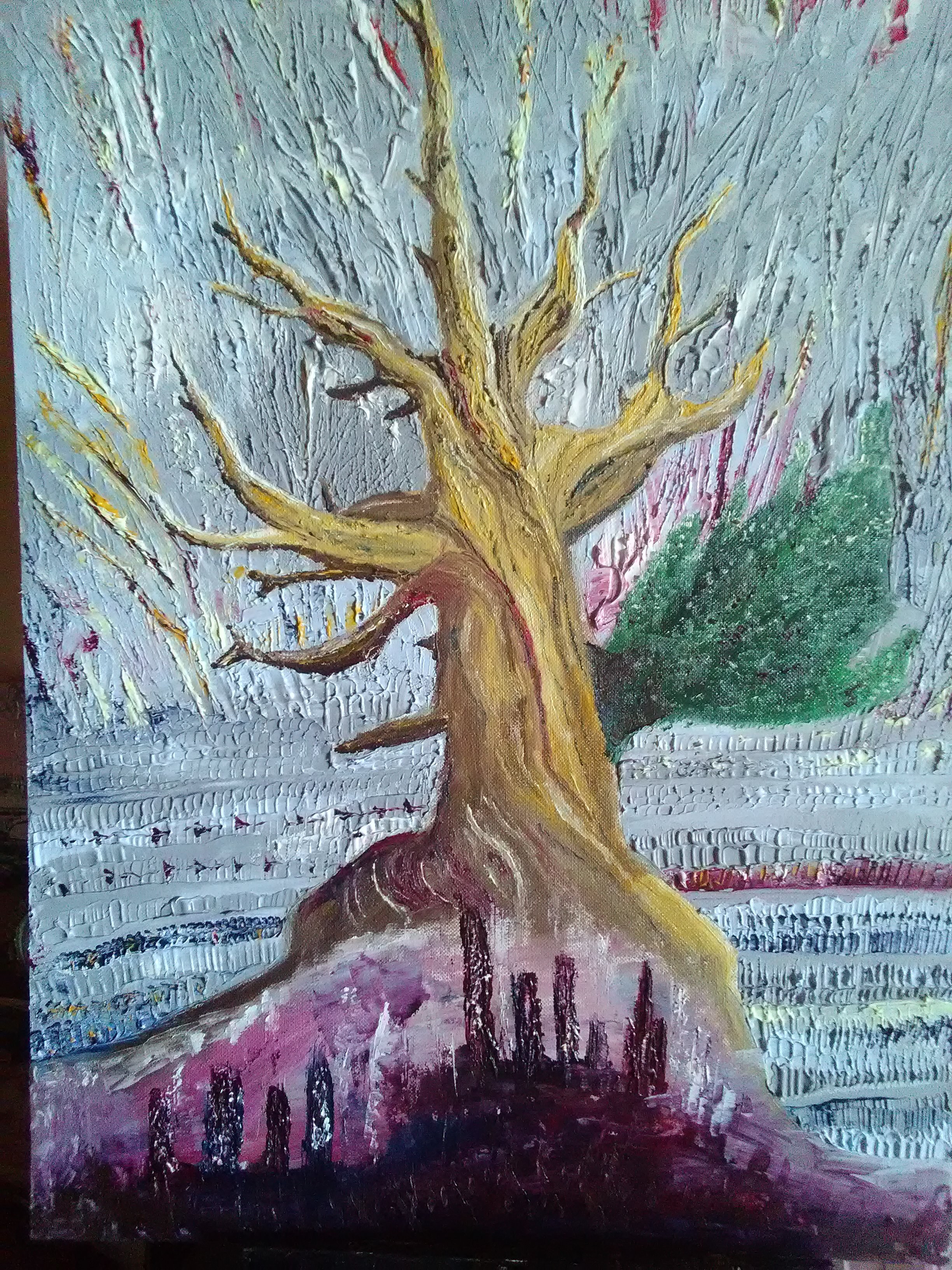 Mille ans d'avance — l'arbre Mathusalem
