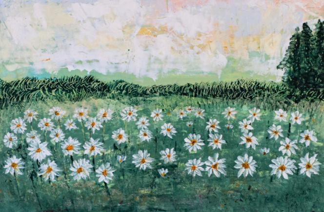 Marguerite dans le pré