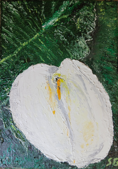 L'Élan du Cœur — l'arum