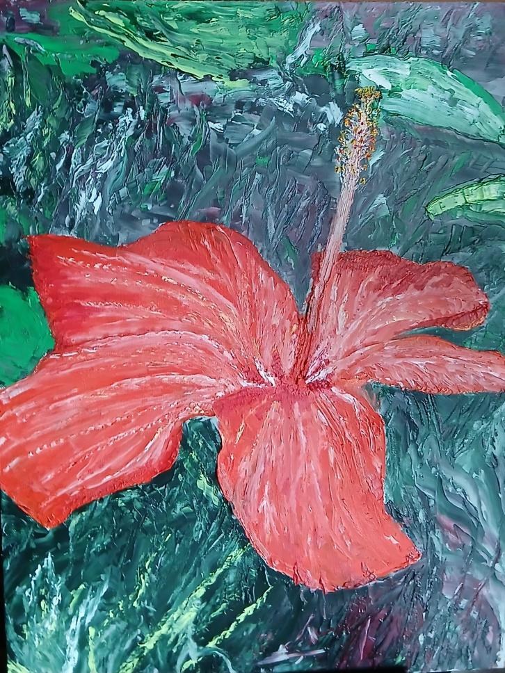 Belle Dame — l'hibiscus rouge