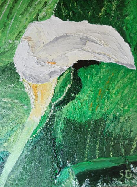 L'Élégance de l'Ombre
